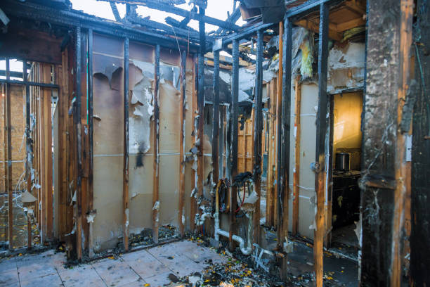 Professional Fire Damage Removal technician working in Silverdale, WA