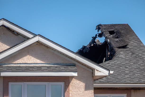 Top rated local Fire Damage Removal specialists in Silverdale, WA